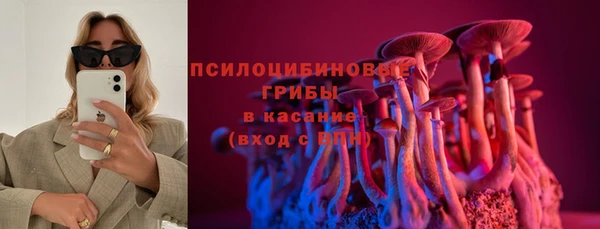 прущая мука Алзамай