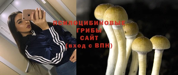 прущая мука Алзамай