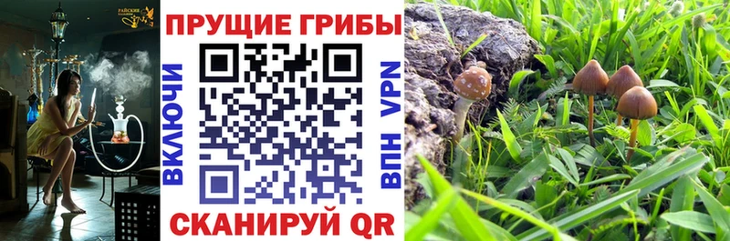 гидра tor  купить закладку  Обнинск  Псилоцибиновые грибы GOLDEN TEACHER 