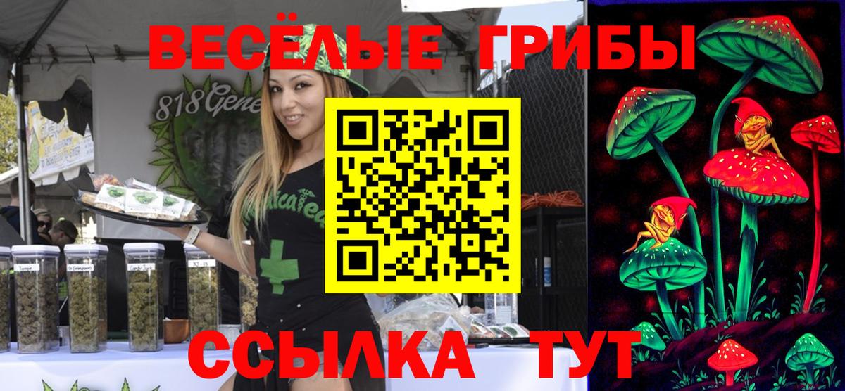 Псилоцибиновые грибы прущие грибы Обнинск